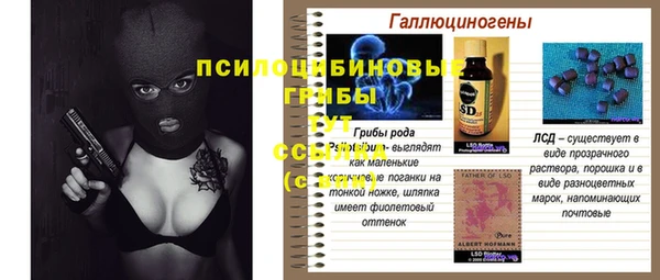 ешки Дмитров