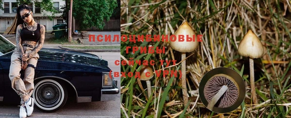 MDMA Premium VHQ Дмитриев