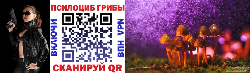 Купить где  Алушта  Псилоцибиновые грибы Psilocybe 